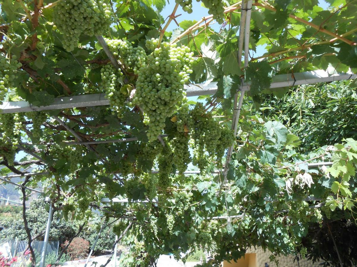 Casitas Las Uvas Y Las Vinas Los Realejos Exteriör bild